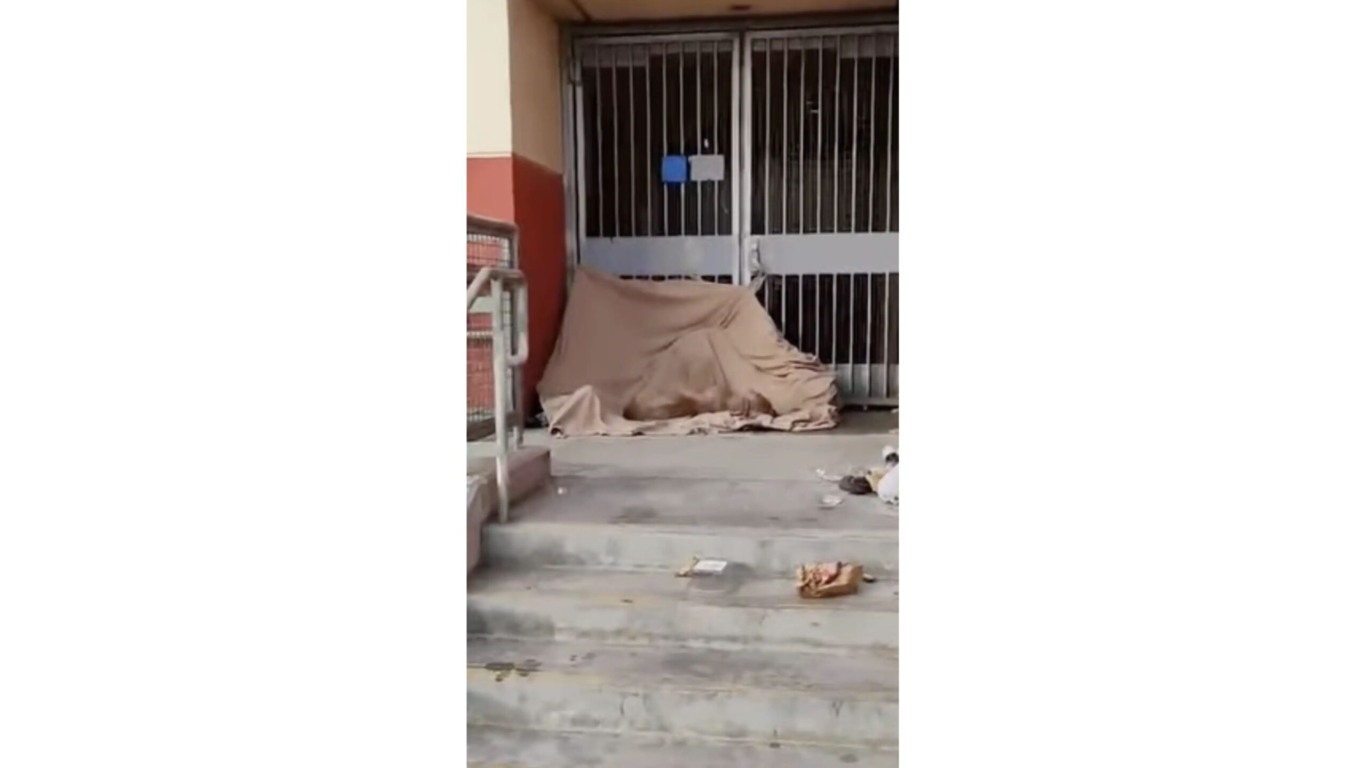 Cachorro com sarna resgatado