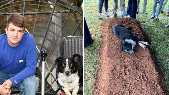 Emocionante: cachorro em luto se deita no túmulo de seu tutor, assassinado aos 22 anos