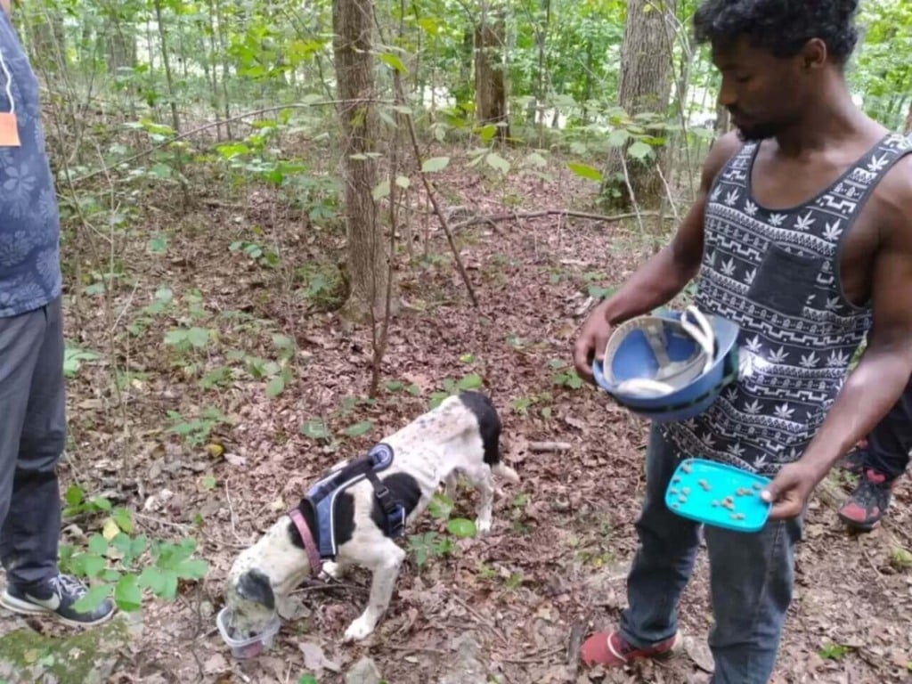 Homem dando comida para cachorro