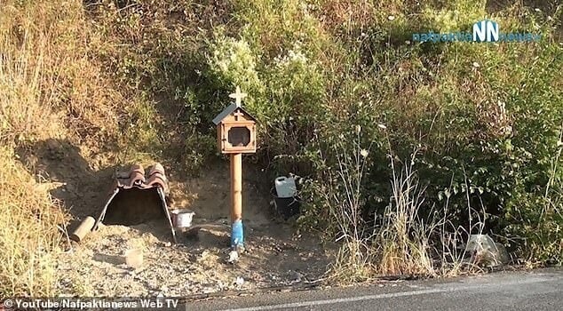 Cachorro na beira da estrada