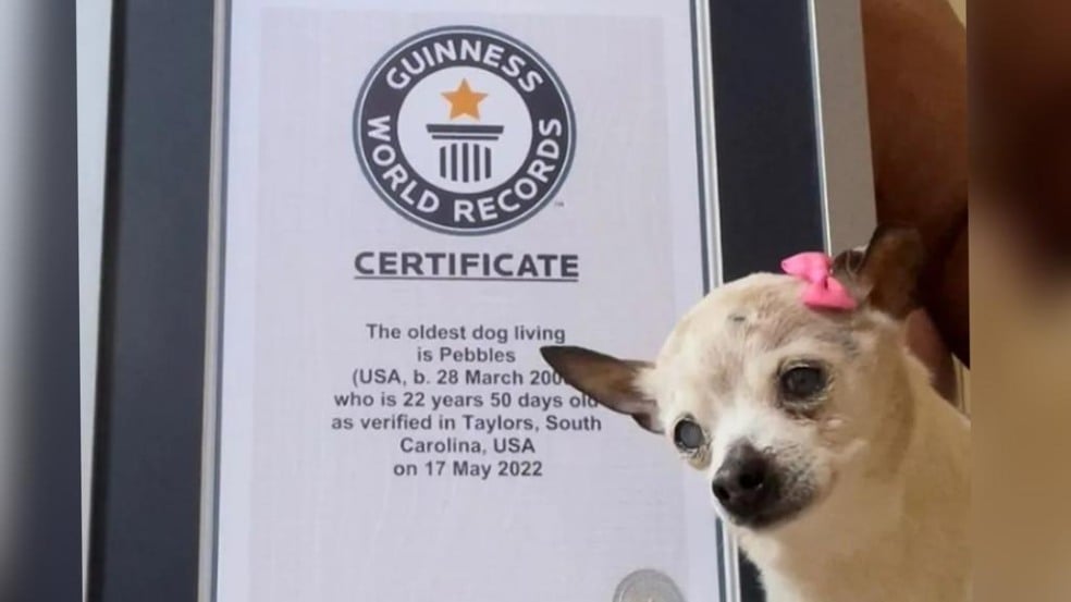 Foto: Reprodução/ Instagram