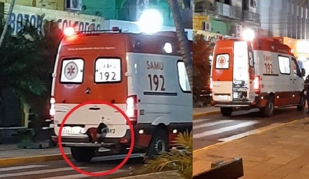 Cachorro pegou carona na traseira de ambulância para acompanhar dono até hospital