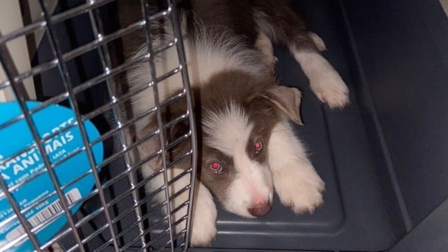 Foto: Arquivo pessoal