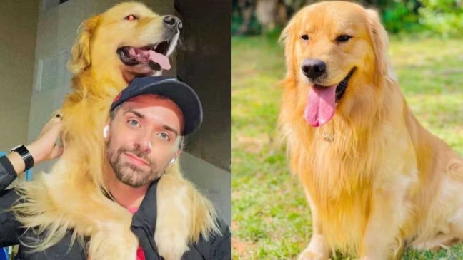 Tutor João Fantazzini com Joca, Golden Retriever de 5 anos que morreu durante transporte aéreo da Gol — Foto: Arquivo pessoal