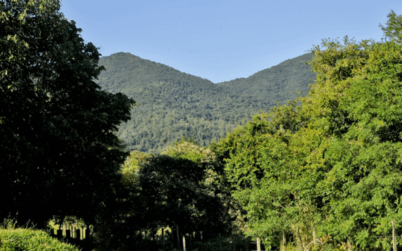 Serra do Japi, Jundiaí