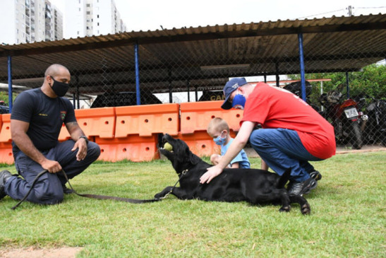 Visita ao Canil da GMJ. (Foto: Divulgação)