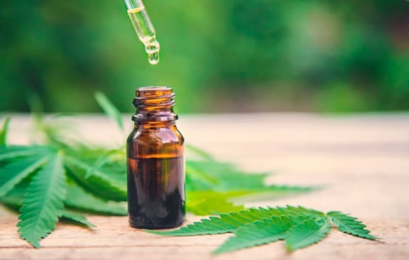 Cannabis medicinal. (Foto: Freepik)