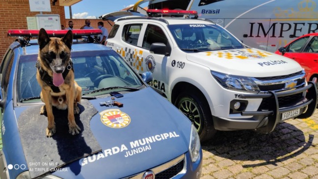 Cão da GMJ ajuda a apreender revólver em ônibus interestadual