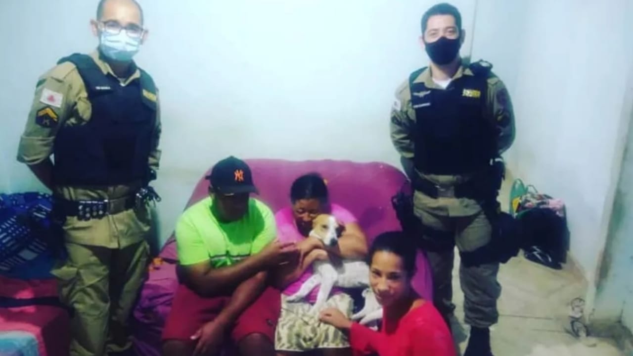 Cão herói volta para casa