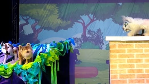 Jundiaí: Teatro on-line fala sobre respeito aos animais e adoção responsável