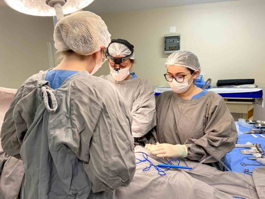 captação-de-órgãos-compressed