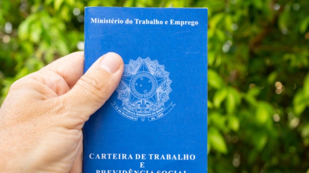 Carteira de trabalho sendo segurada em frente à natureza.