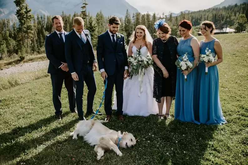 casamento-cachorro-bear-1-compressed