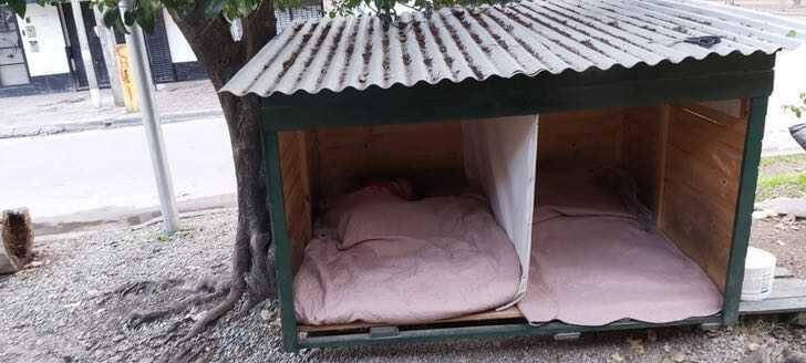 Casa de cachorro na rua