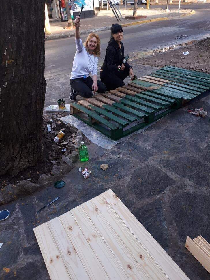 Mulheres montando casa de cachorro