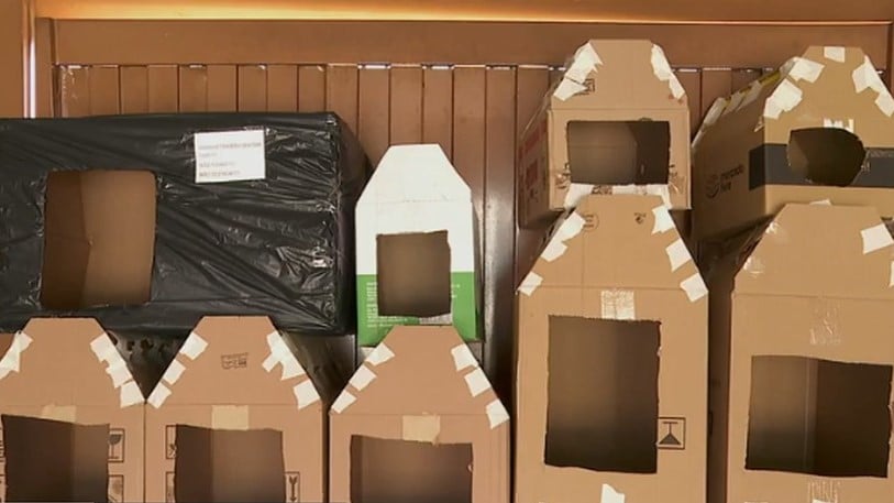 Foto: Reprodução/EPTV