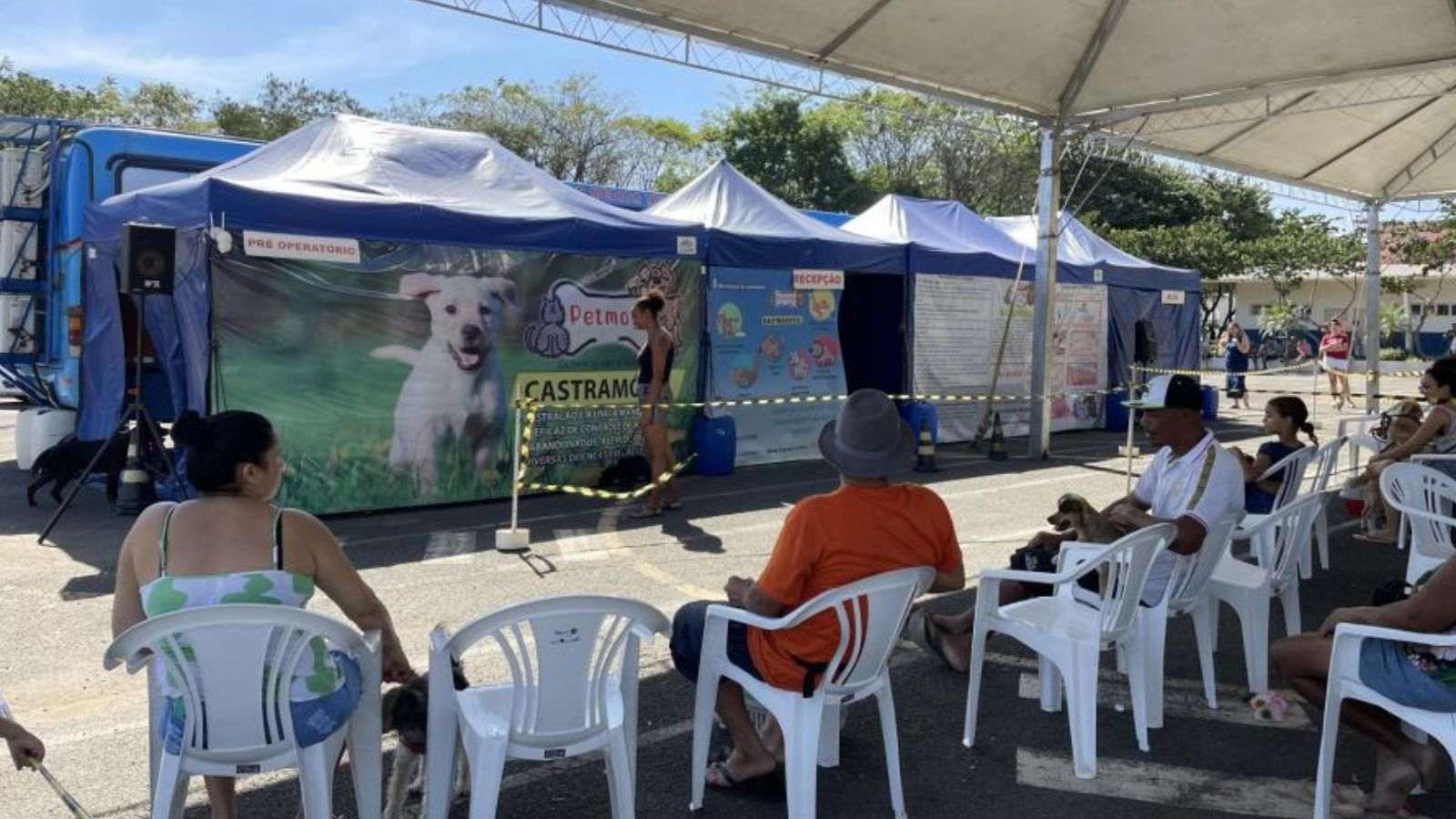 Fila de pessoas com seus animais de estimação.