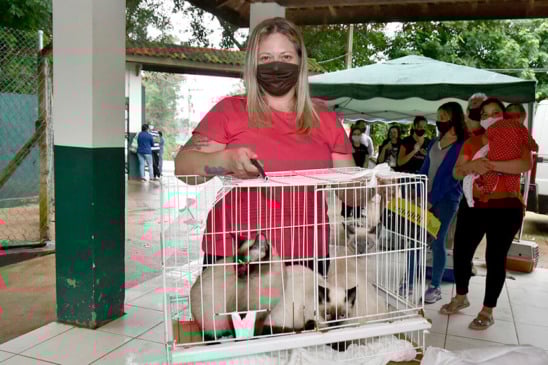 Castração em Jundiaí. (Foto: Divulgação)