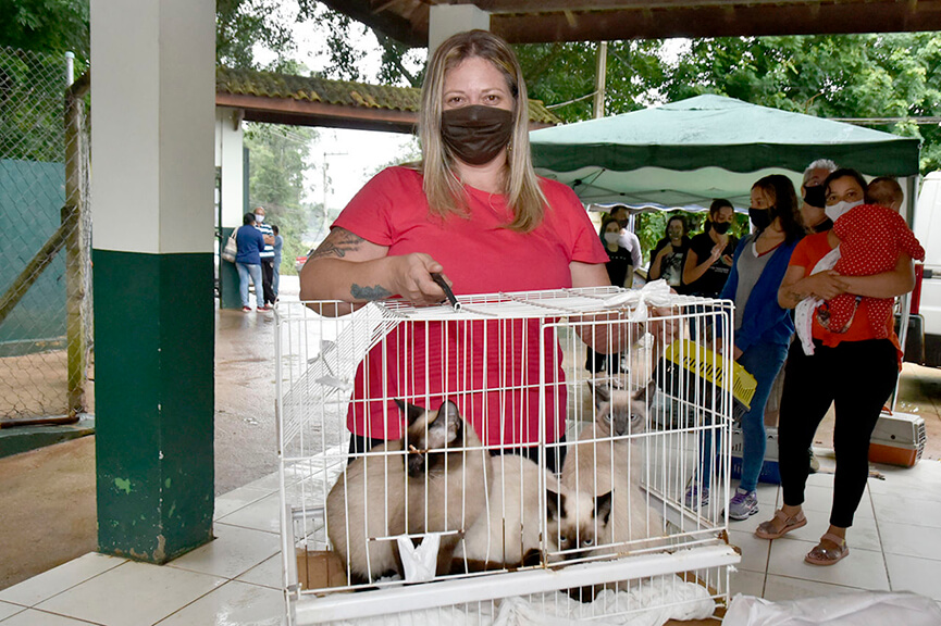Castração em Jundiaí. (Foto: Divulgação) Castração em Jundiaí. (Foto: Divulgação)