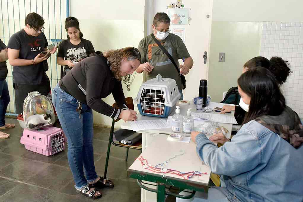 Castrações gratuitas em Jundiaí