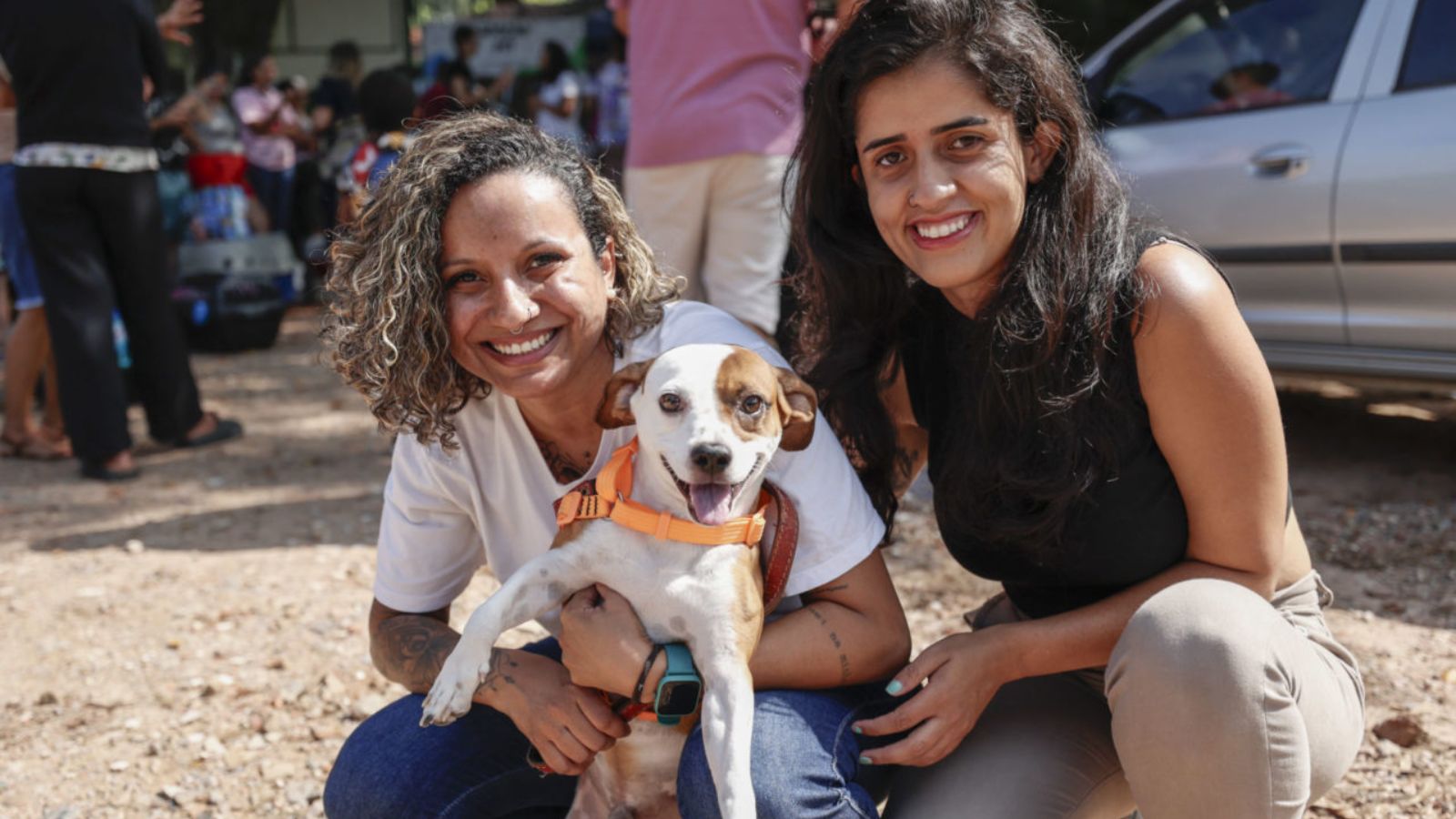 castracao debea jundiai