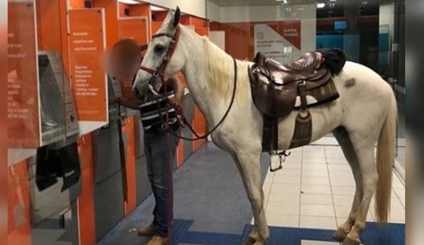 Homem entra com cavalo em agência bancária de Várzea Paulista
