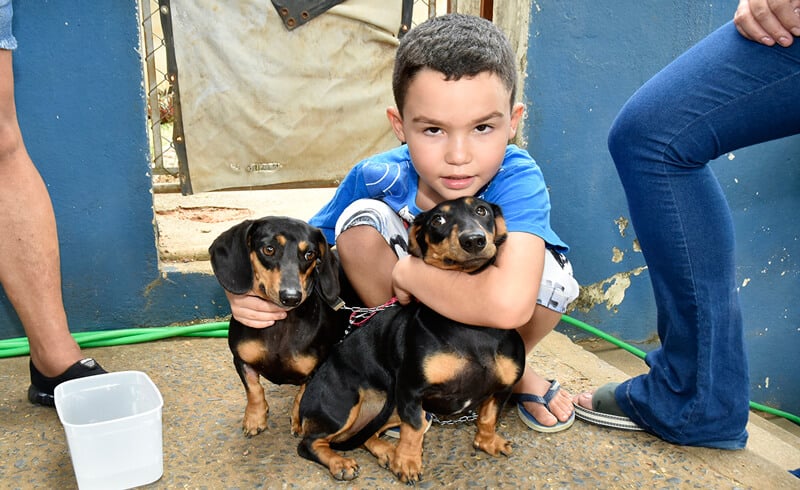 Igor abraçado a duas bassets fêmeas