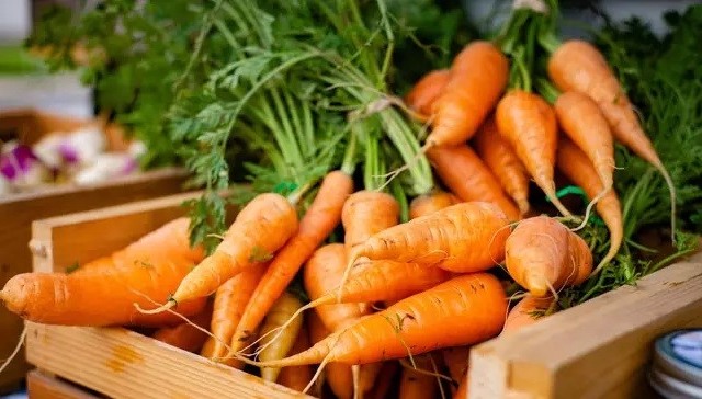 David Holifield/Unsplash