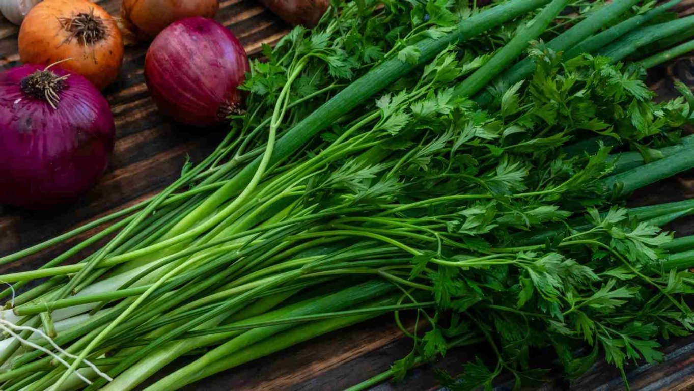 cheiro-verde-salsinha-cebolinha