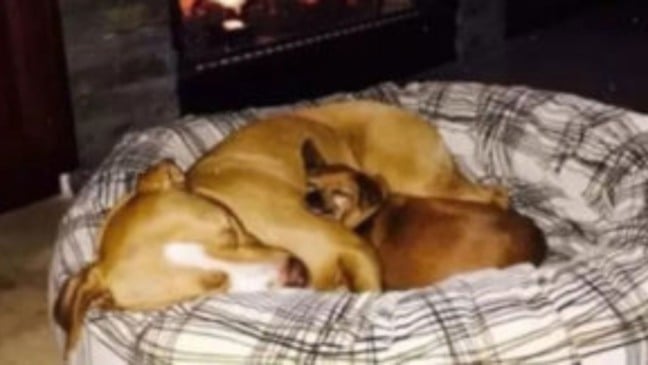 (Foto: videoinspirational)