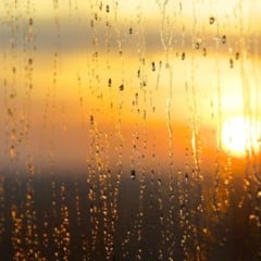 Sol aparecendo em dia de chuva.