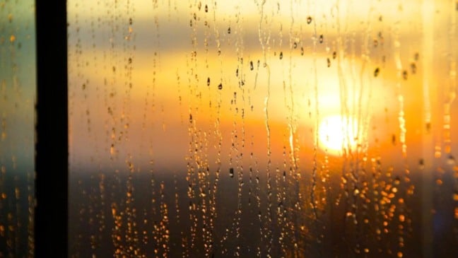 Sol aparecendo em dia de chuva.