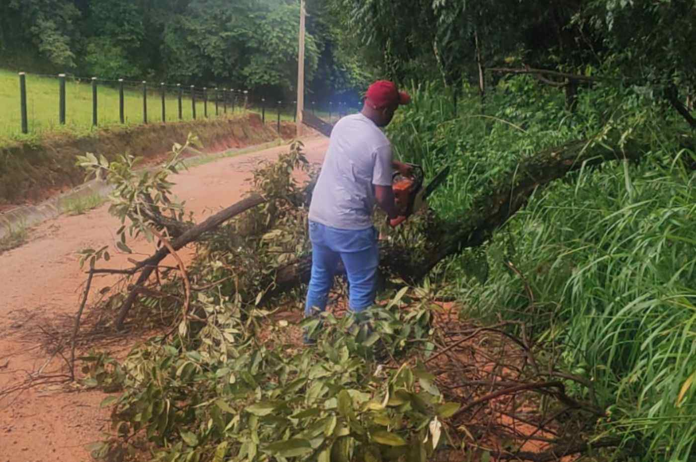 Chuvas em Itupeva: trabalhador usa motosserra para remover árvore caída que bloqueia estrada de terra após temporal na região.