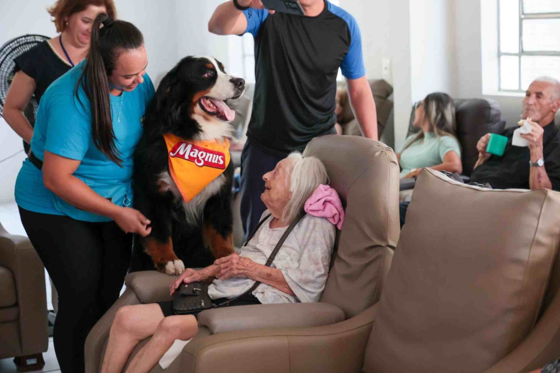 Cão Magnus visita idosos na Cidade Vicentina em Jundiaí