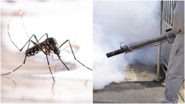 Foto: Divulgação/Prefeitura de Itupeva