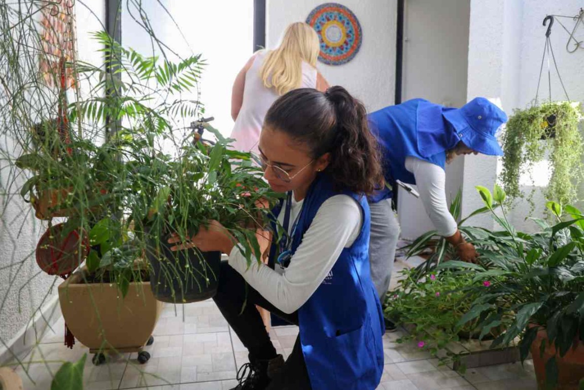 Agentes de saúde fazendo vistoria em casas na cidade de Jundiaí