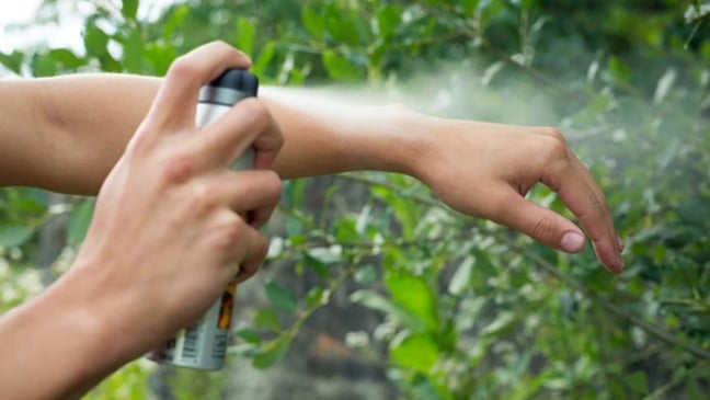 Pessoa passando repelente de insetos no braço.