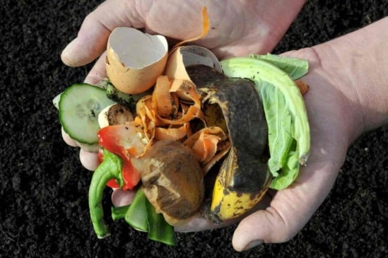 Como fazer compostagem: transformando resíduos em adubo para o seu jardim