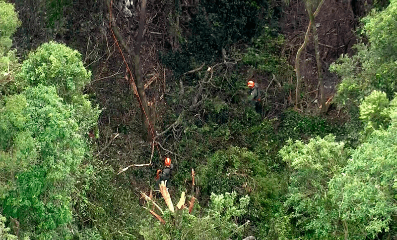 Imagem de helicóptero mostra bombeiros em área de mata fechada