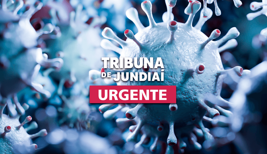 Estrutura viral Estrutura viral