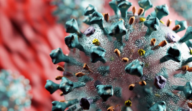 Desenho gráfico do vírus da Covid-19