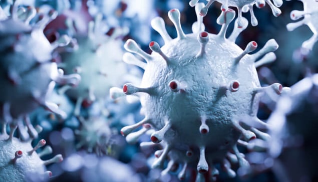 Desenho gráfico da estrutura viral