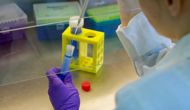 Pesquisador analisando amostras em laboratório