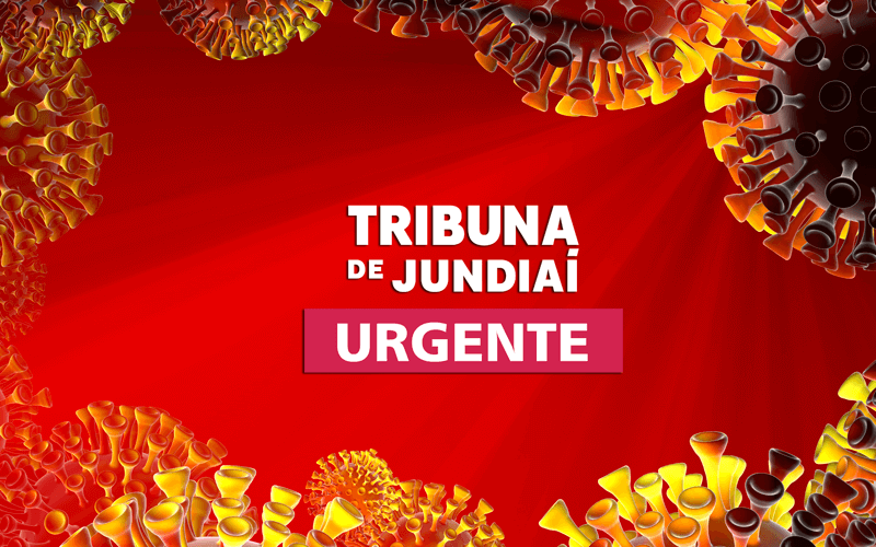 Estrutura viral Estrutura viral