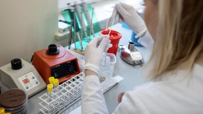 Foto: Agência Gazeta