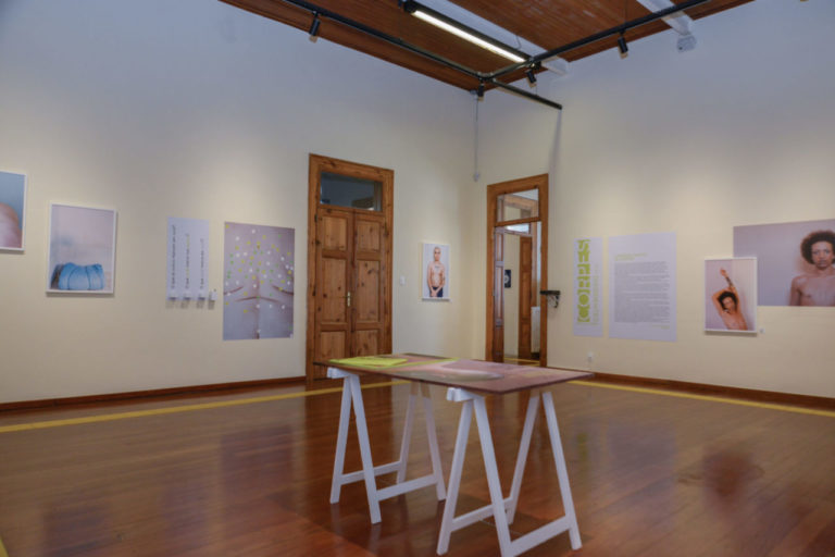 corpes-provaveis_bella-tozini_pinacoteca-