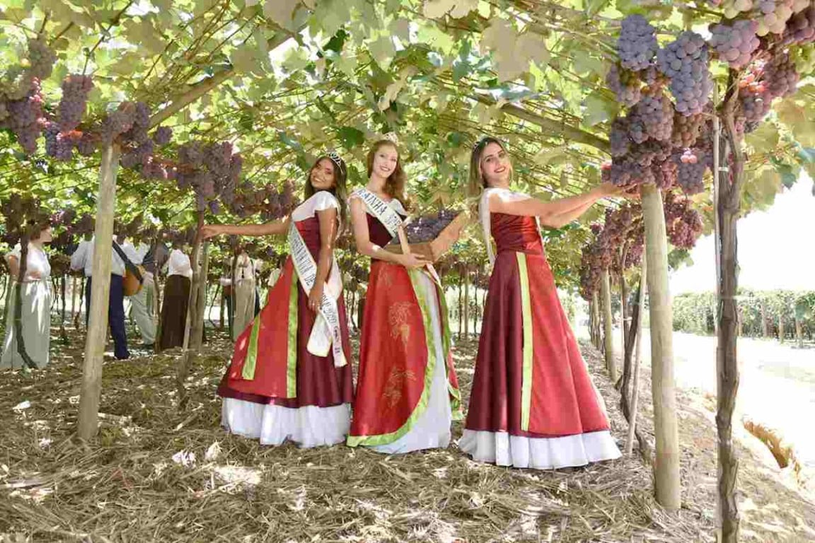 corte_da_uva_1-compressed