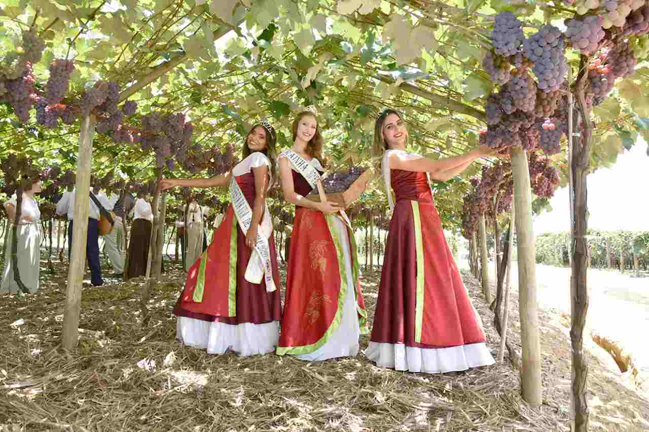 corte_da_uva_1-compressed