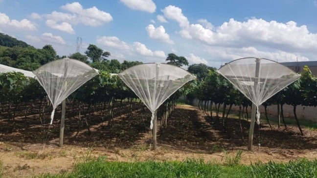 (Foto: Prefeitura de Jundiaí)