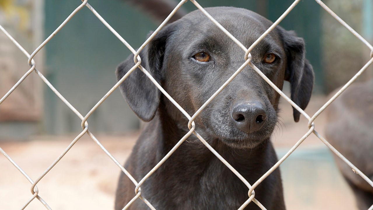 Foto: Prefeitura de Jundiaí